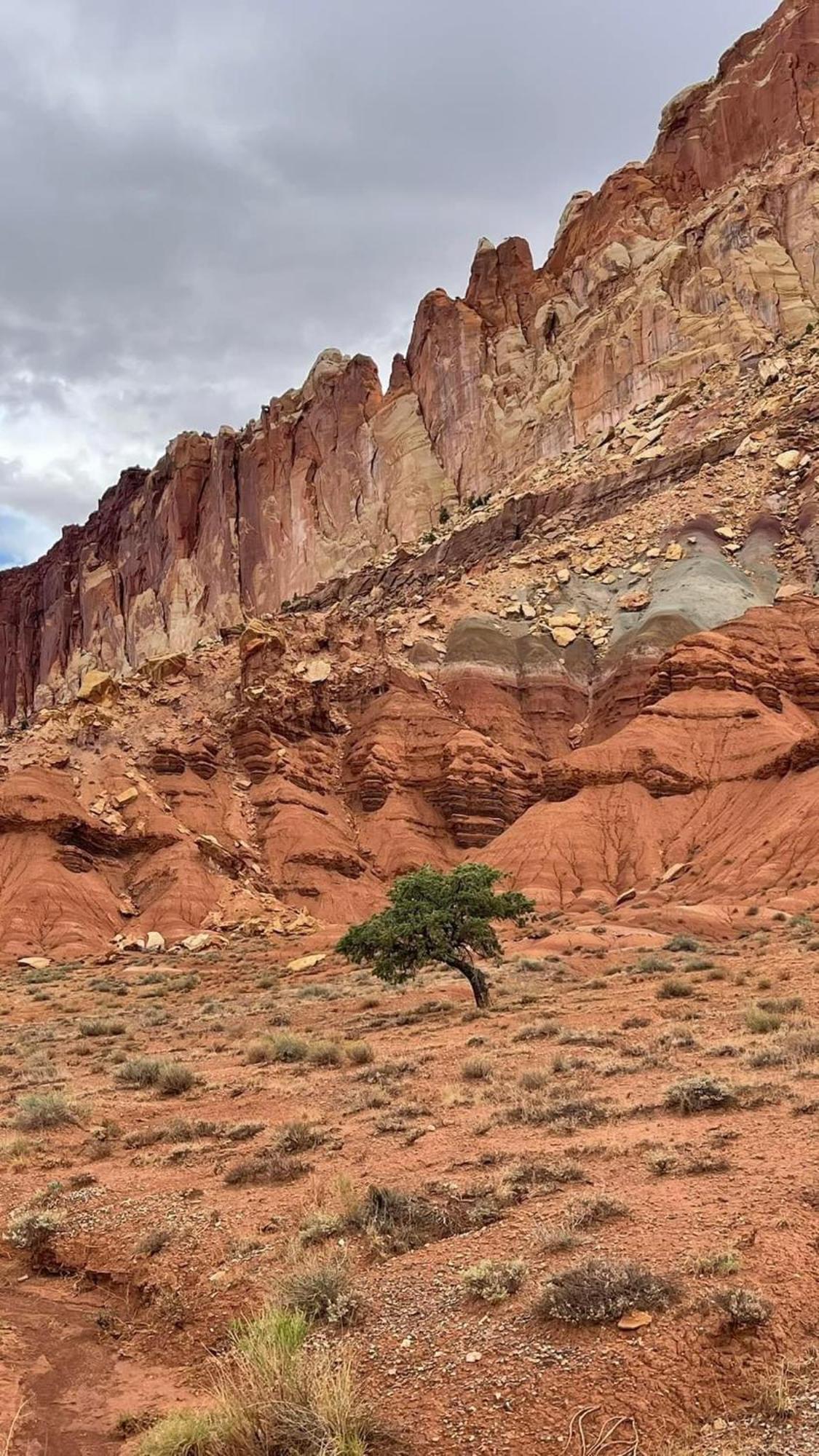 Bryce's Zion House By Bryce Canyon National Park! *